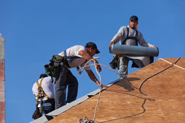 Roof Gutter Cleaning in Holdrege, NE