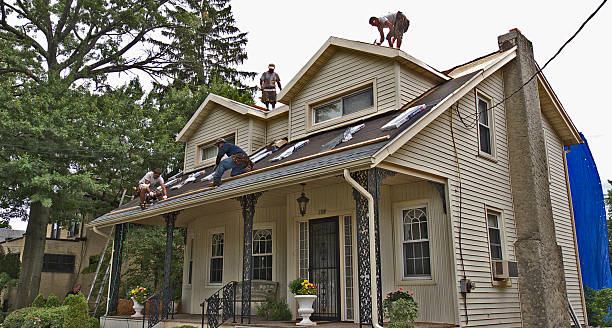 Best Metal Roofing Contractor  in Holdrege, NE